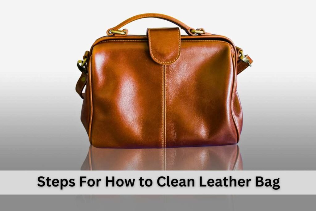 Steps For How to Clean Leather Bag