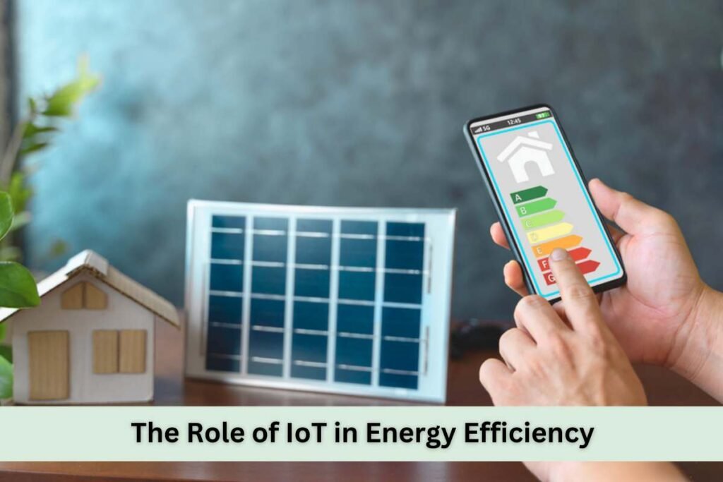 The Role of IoT in Energy Efficiency